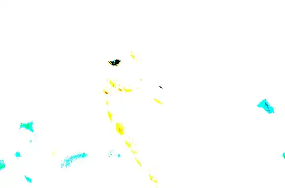 adjustment-layers-tutorial