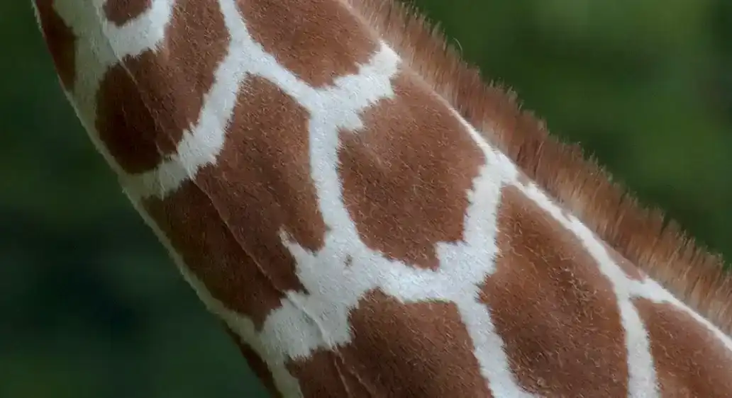 adjustment-layers-tutorial