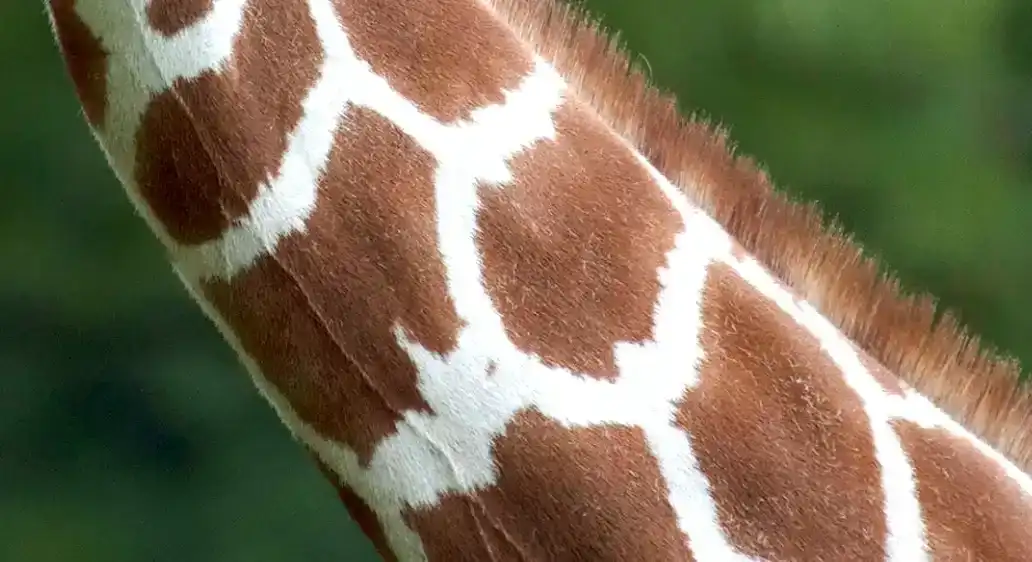 adjustment-layers-tutorial