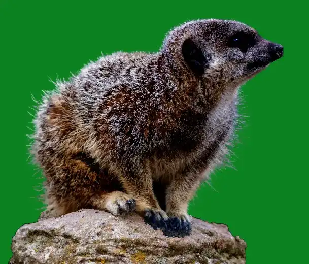 adjustment-layers-tutorial