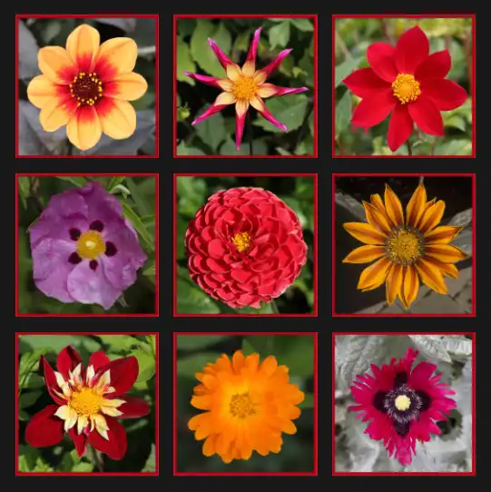 artboard-tool-tutorial