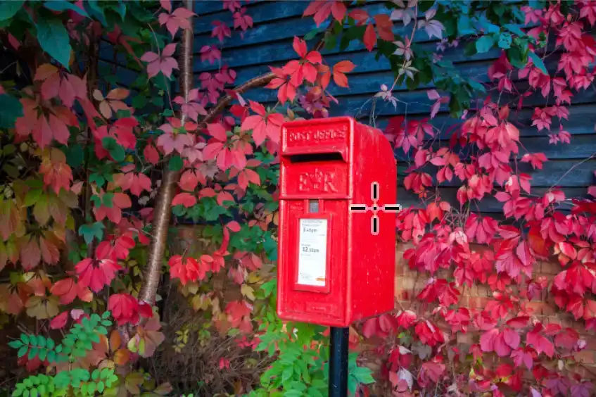 color-sampler-tutorial