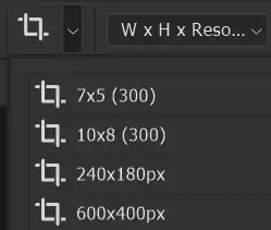 crop-tool-tutorial