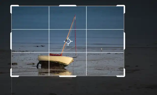 crop-tool-tutorial