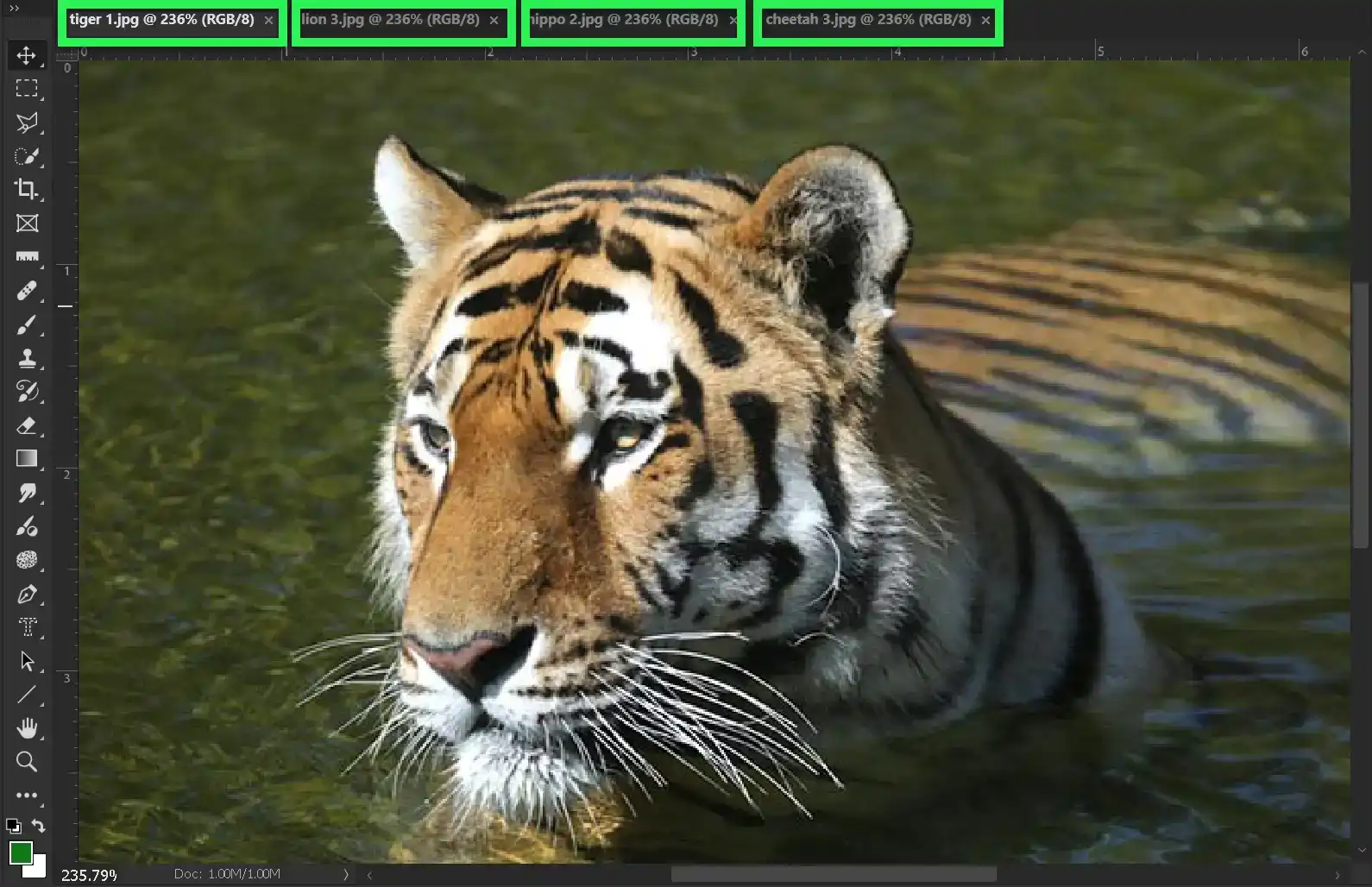 Photoshop Hand Tool Tutorial