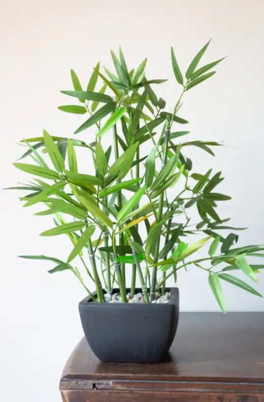 Photoshop Histogram Tutorial