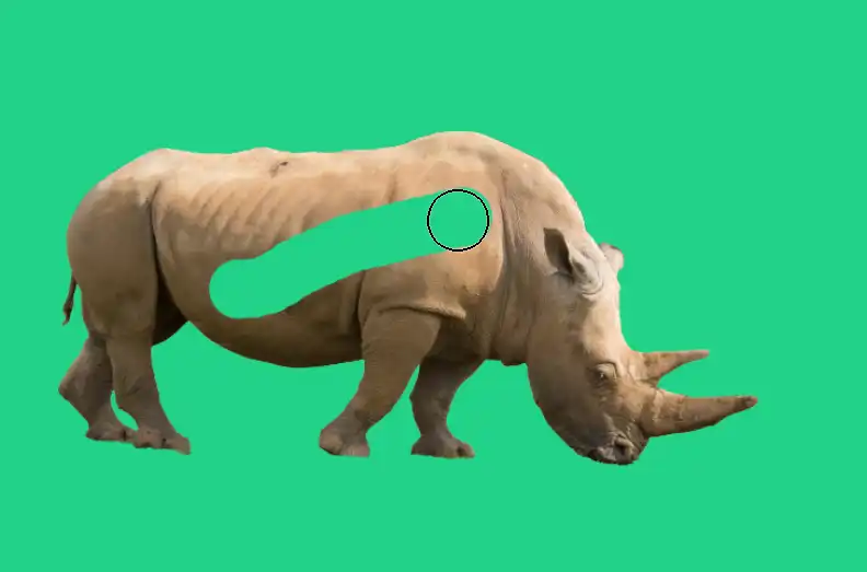 Photoshop Layer Masks basics Tutorial