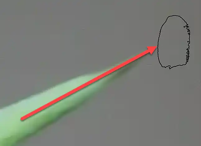 Photoshop Mixer Brush Tool Tutorial