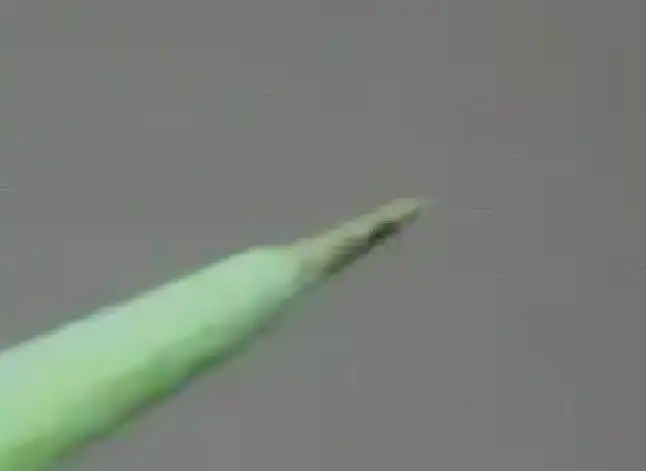 Photoshop Mixer Brush Tool Tutorial