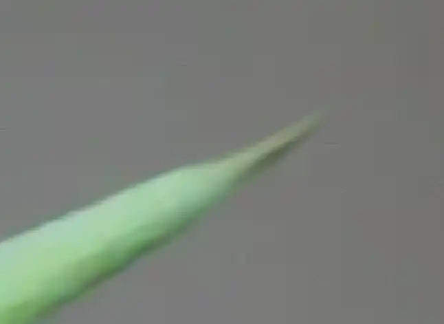 Photoshop Mixer Brush Tool Tutorial