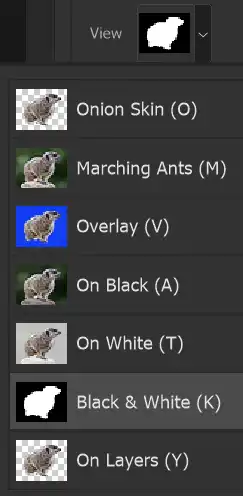 Photoshop Select and Mask Tool Tutorial