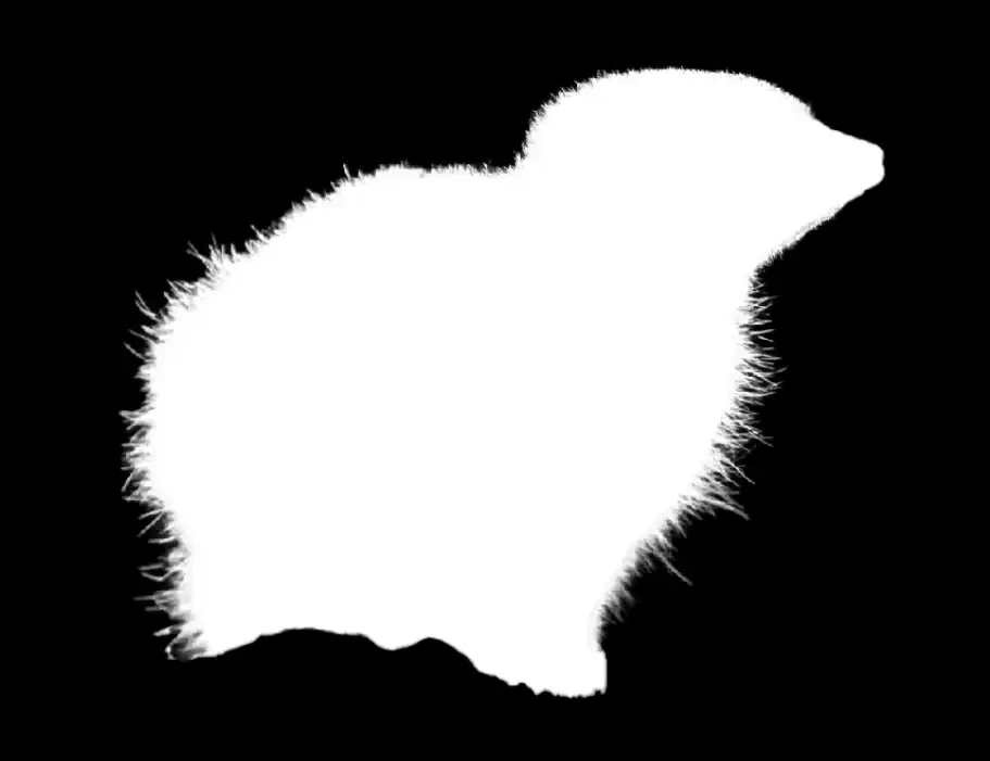 Photoshop Select and Mask Tool Tutorial