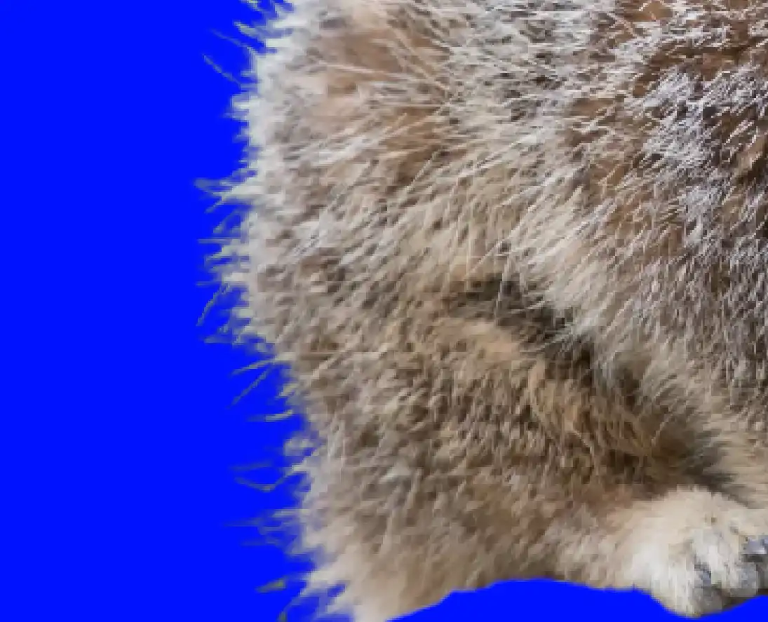 Photoshop Select and Mask Tool Tutorial