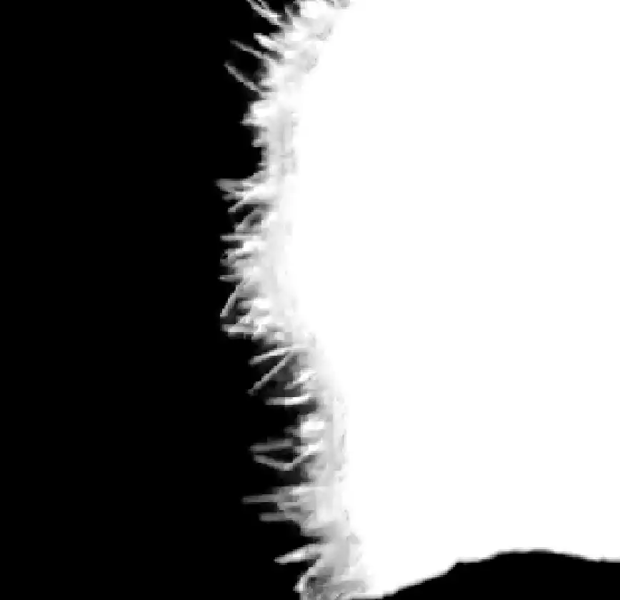 Photoshop Select and Mask Tool Tutorial