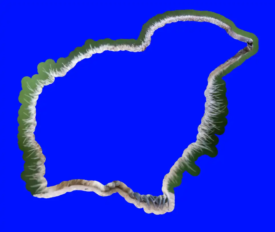 Photoshop Select and Mask Tool Tutorial