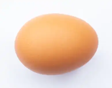 Photoshop Slice Tool Tutorial