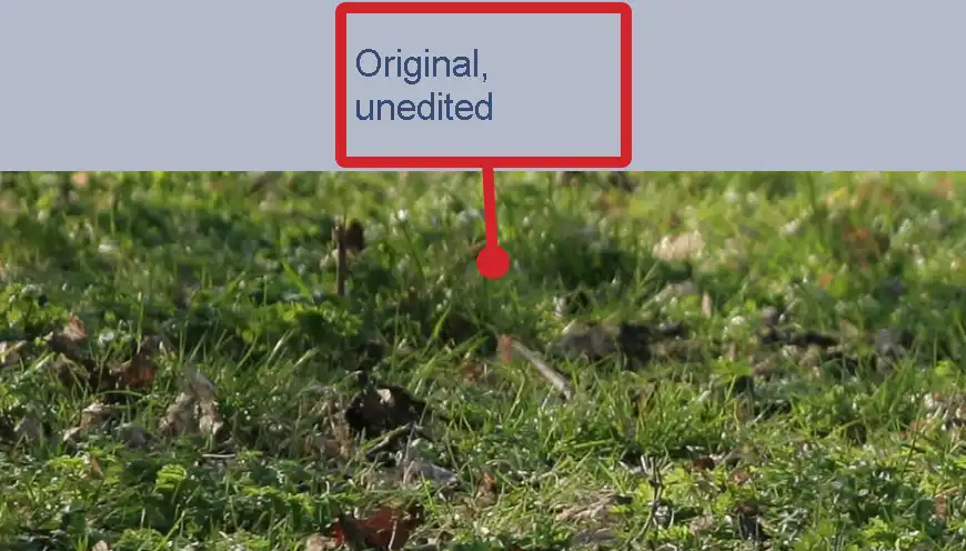 Photoshop Sponge Tool Tutorial