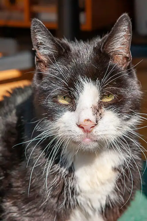 Wedding photography at Towcester Racecourse
